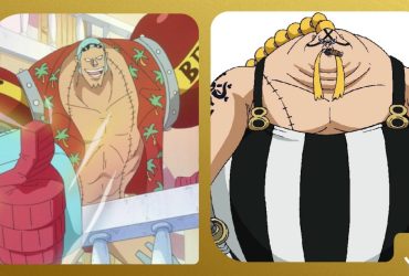 10 Základních faktech o Frankym v One Piece