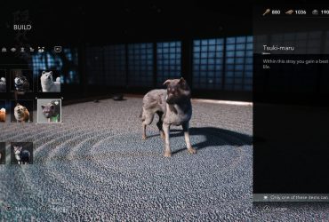 Průvodce adopcí mazlíčků v Assassin’s Creed Shadows